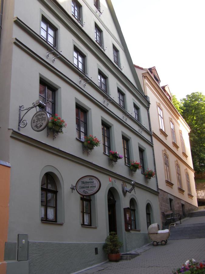 Penzion U Fridy Локет Экстерьер фото
